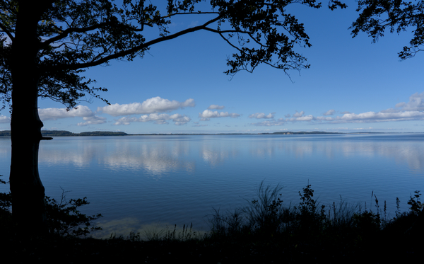 Jasmunder Bodden