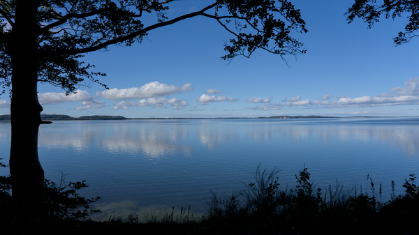 Jasmunder Bodden